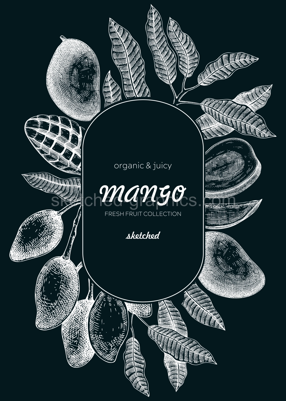 Fruit design template on chalkboard. Realistic mango hand-drawn vector illustration. Exotic fruit, mango tree branches, leaves sketches. Vintage frame, packaging, Healthy food. Summer design element Illustration